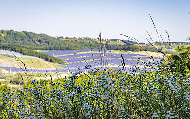 Ein Solarpark erstrecket sich sanft an den Hang, umgeben von üppiger Vegetation.