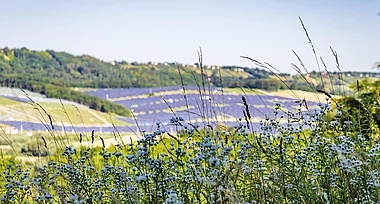 Ein Solarpark erstrecket sich sanft an den Hang, umgeben von üppiger Vegetation.