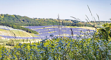 Ein Solarpark erstrecket sich sanft an den Hang, umgeben von üppiger Vegetation.