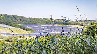 Ein Solarpark erstrecket sich sanft an den Hang, umgeben von üppiger Vegetation.