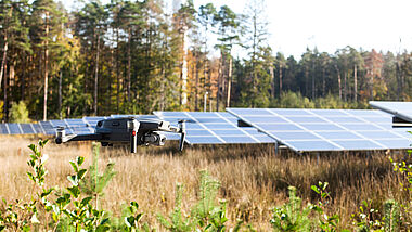 Solarmodule auf einem Feld, umgeben von Bäumen und Vegetation.