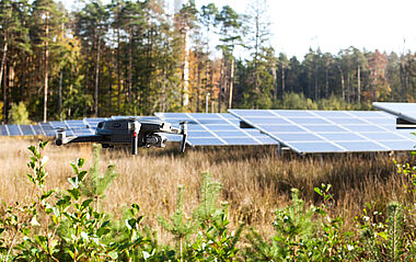 Solarmodule auf einem Feld, umgeben von Bäumen und Vegetation.