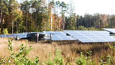 Solarmodule auf einem Feld, umgeben von Bäumen und Vegetation.