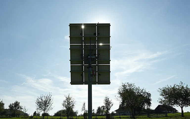 Sonnenfeld mit Baumgruppe und Häusern im Hintergrund.