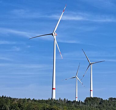 Windkraftanlagen stehen auf einem Hügel vor einem dichten Wald.