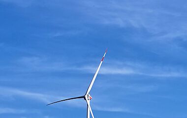 Windkraftanlagen stehen auf einem Hügel vor einem dichten Wald.