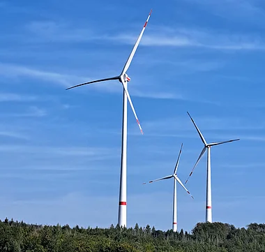Windkraftanlagen stehen auf einem Hügel vor einem dichten Wald.