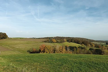 Sanfte Hügellandschaft mit Feldern und Laubwäldern im Herbstlicht.