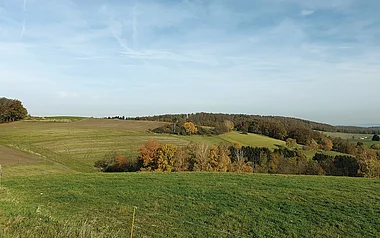 Sanfte Hügellandschaft mit Feldern und Laubwäldern im Herbstlicht.