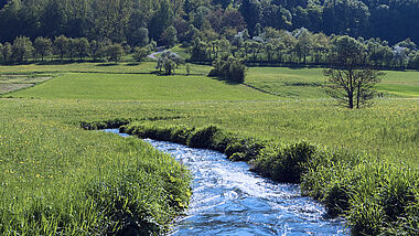 Ein sonniger Bach fließt durch eine grüne, hügelige Landschaft.
