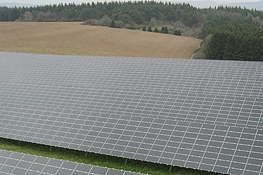 Solarmodule auf einem Feld, aufgenommen aus der Vogelperspektive.