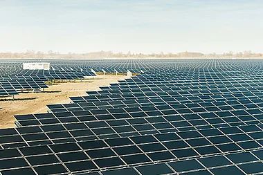 Solarmodule auf einer weitläufigen, sonnendurchfluteten Landschaftsfläche.