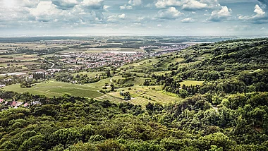 Luftaufnahme zeigt Weinberge und bewaldete Hügel in einer sonnigen Landschaft.
