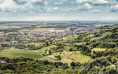 Luftaufnahme zeigt Weinberge und bewaldete Hügel in einer sonnigen Landschaft.