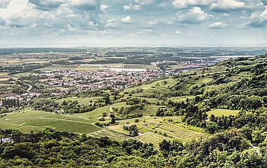 Luftaufnahme zeigt Weinberge und bewaldete Hügel in einer sonnigen Landschaft.