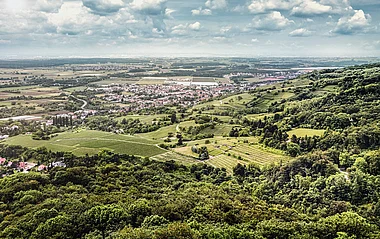 Luftaufnahme zeigt Weinberge und bewaldete Hügel in einer sonnigen Landschaft.