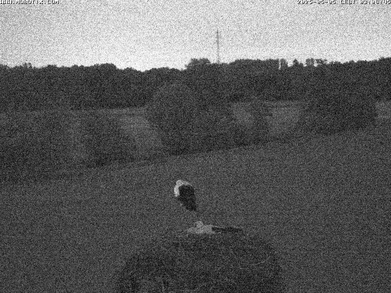 abends